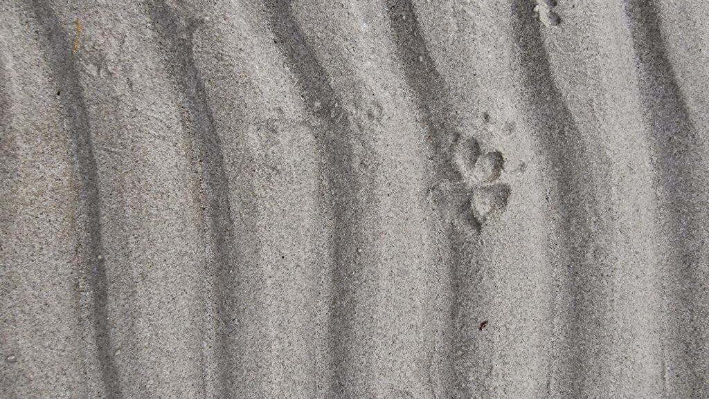 sandstrand murter slanica